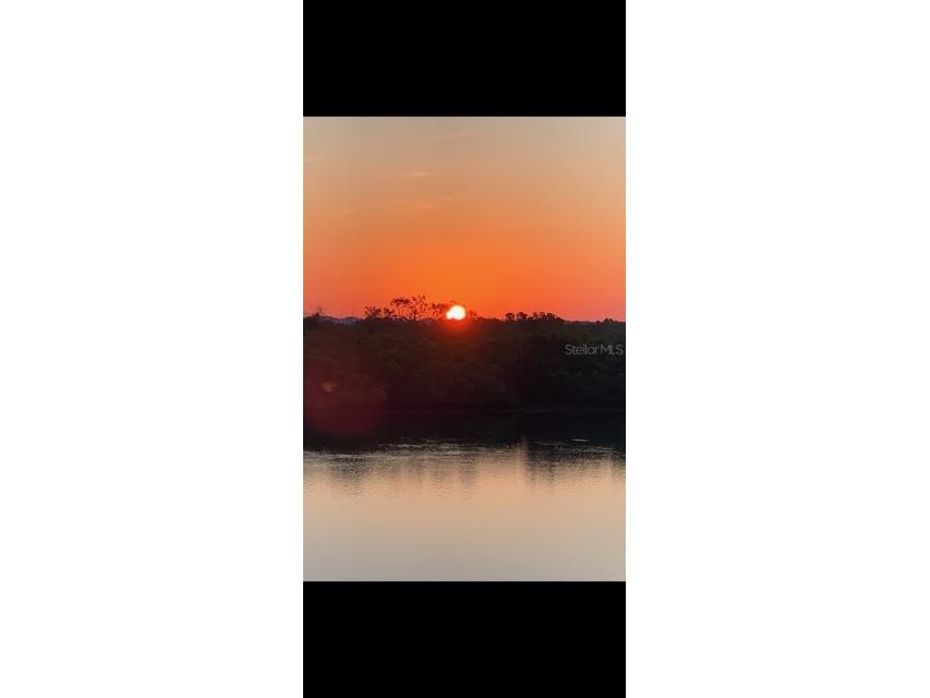 813 Bahia Del Sol Drive #34 Ruskin FL 33570 TB8454961 image95