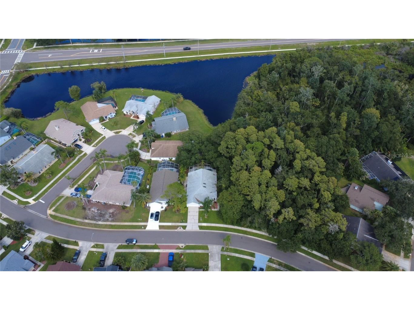 813 Crestridge Drive Tarpon Springs FL 34688 TB8427962 image28