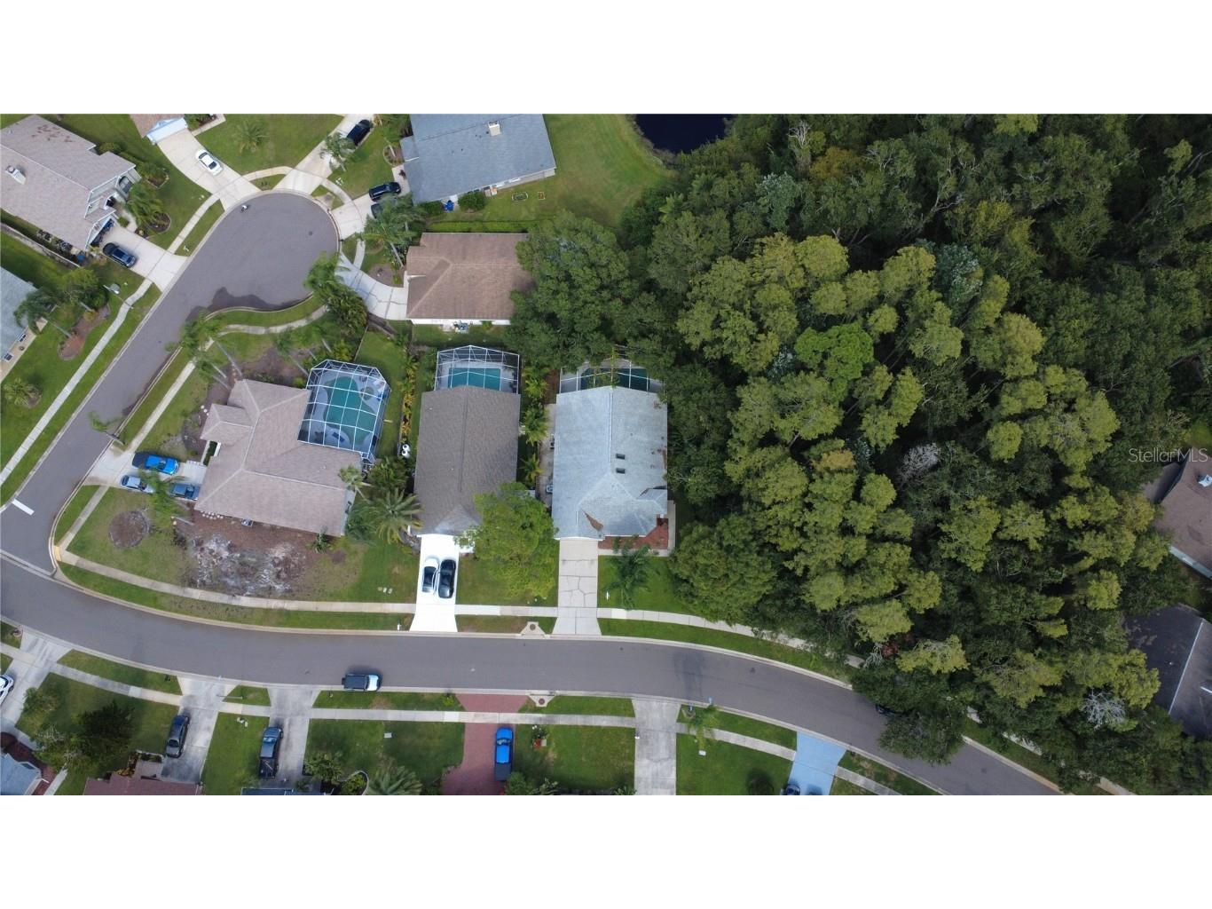 813 Crestridge Drive Tarpon Springs FL 34688 TB8427962 image29