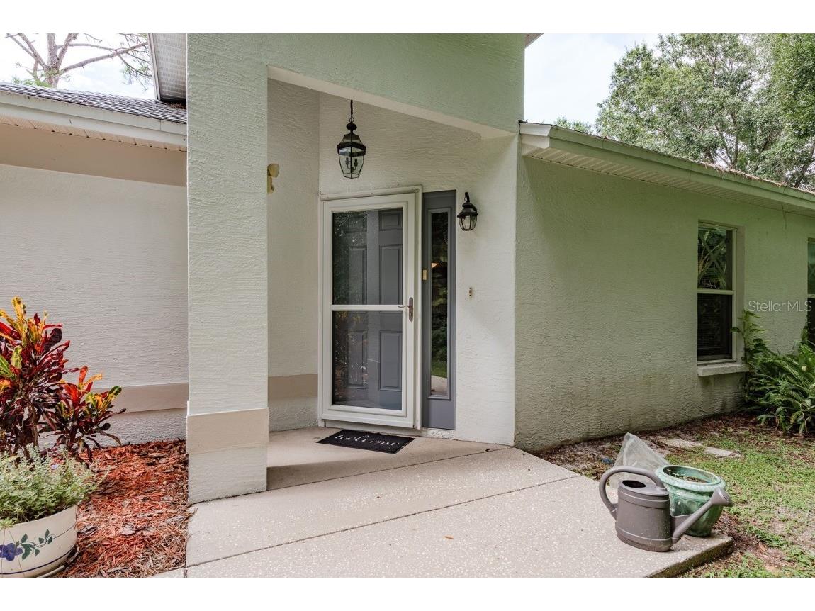 813 Crestridge Drive Tarpon Springs FL 34688 TB8427962 image3