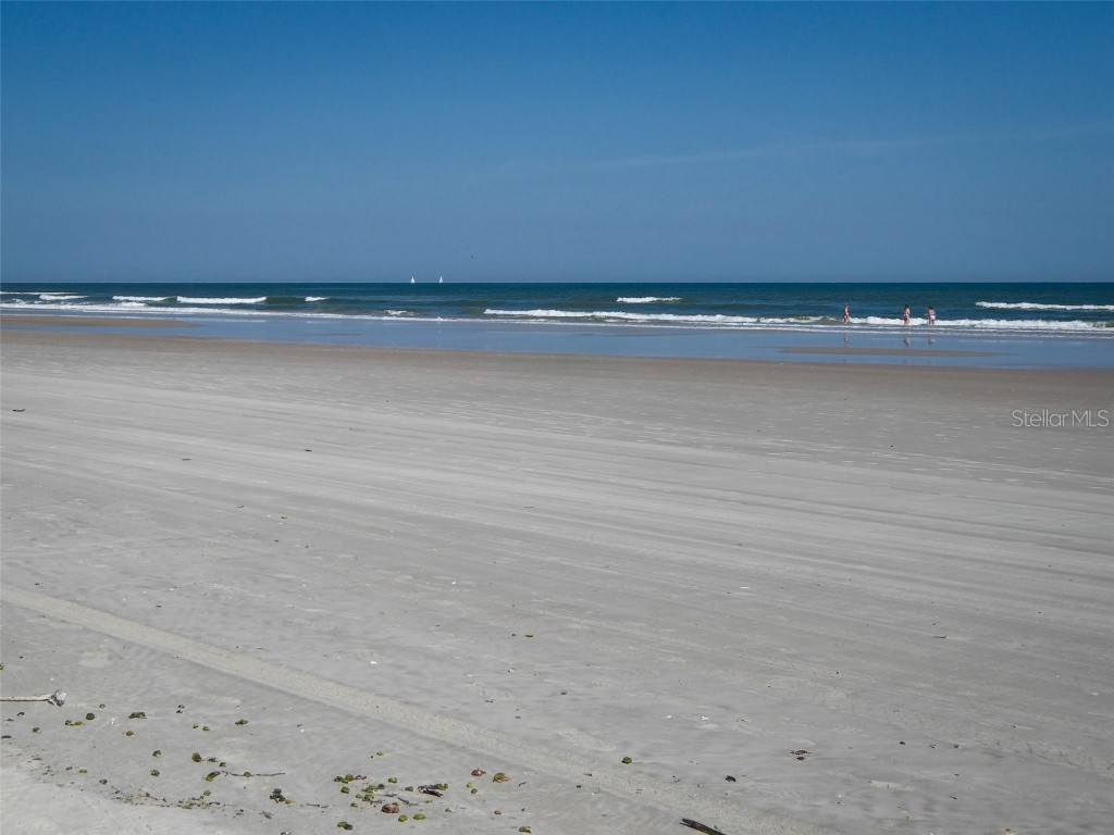 813 E 8th Avenue New Smyrna Beach FL 32169 NS1086657 image42