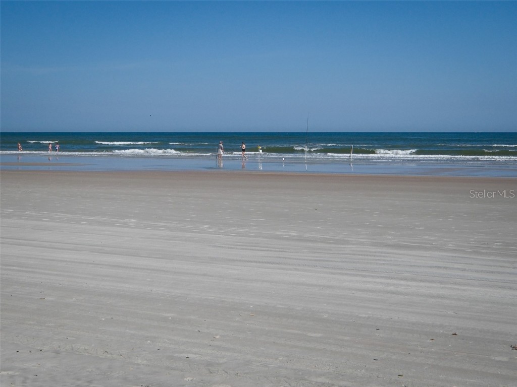 813 E 8th Avenue New Smyrna Beach FL 32169 NS1086657 image43