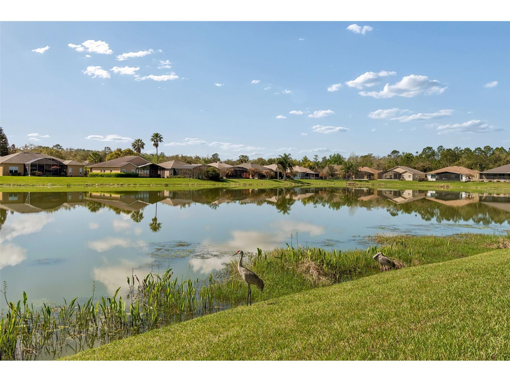 813 Glendora Road Kissimmee FL 34759 S5144984 image44