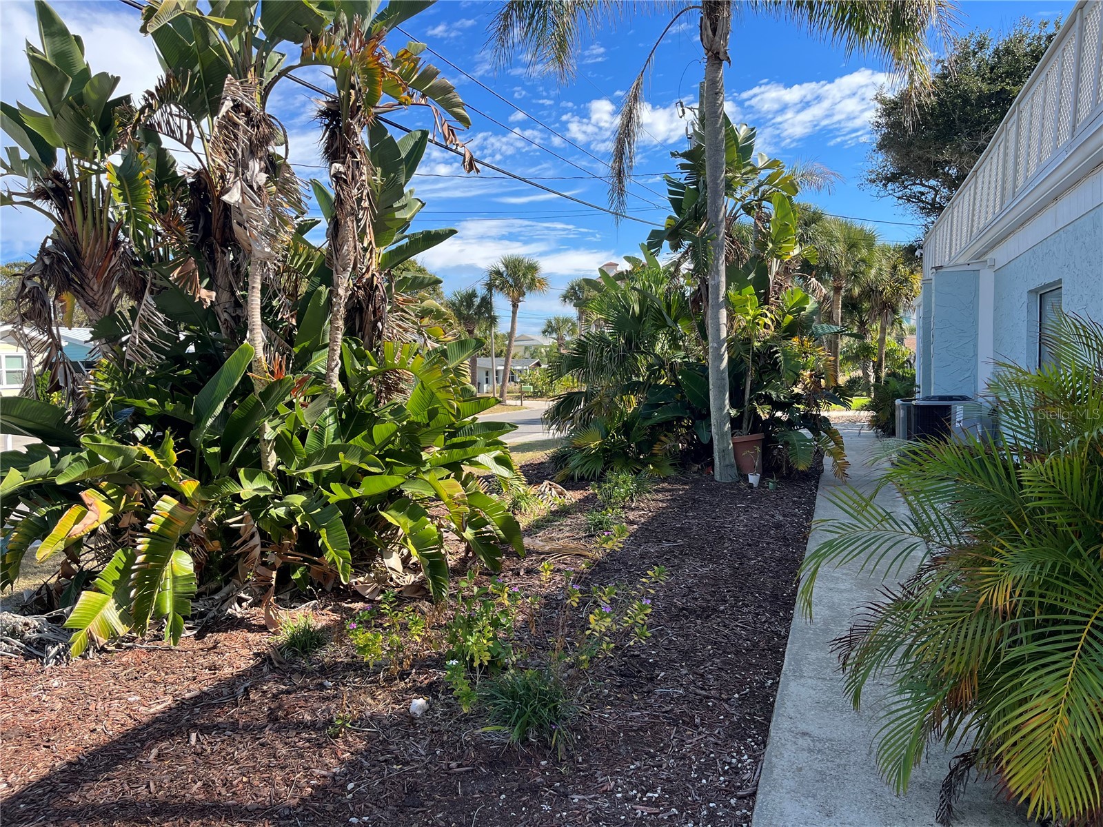 813 Hope Avenue #811 New Smyrna Beach FL 32169 NS1085941 image2