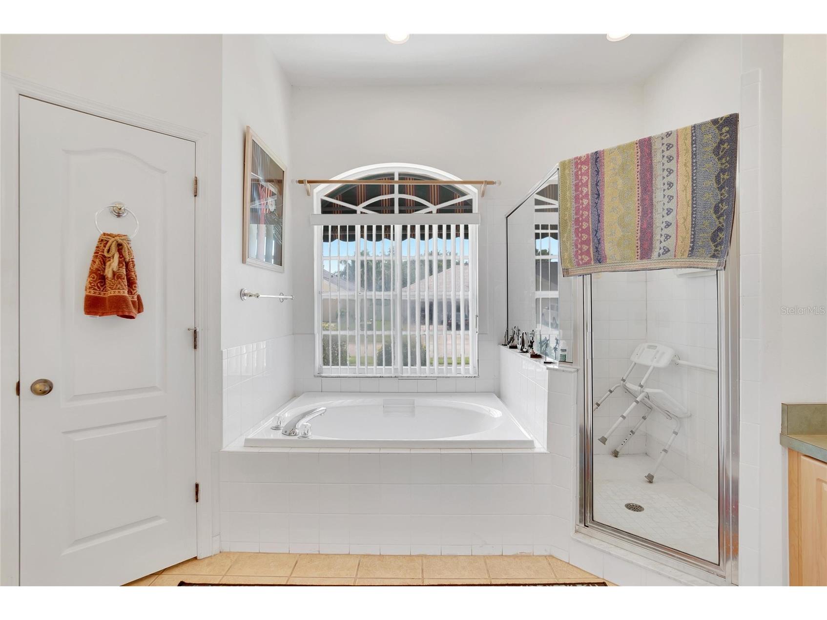 813 Innergary Place Valrico FL 33594 TB8509101 image12