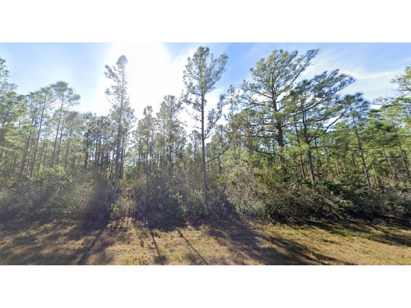 813 Japonica Avenue Indian Lake Estates FL 33855 O6041178 image1
