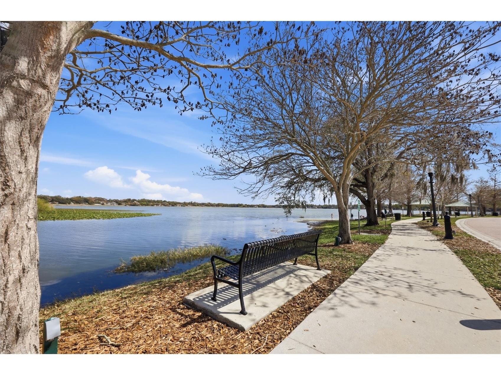 813 Lancer Circle Ocoee FL 34761 - STARKE LAKE & OLYMPIA LAKE O6382095 image38