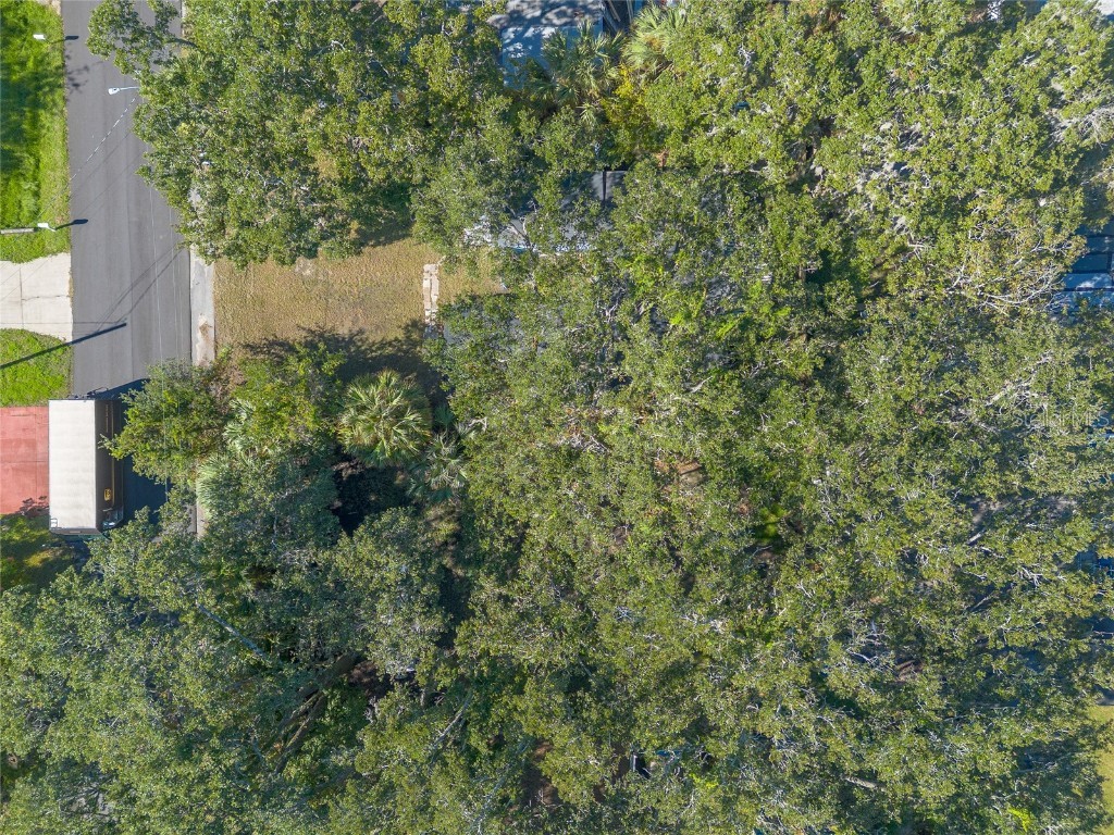 813 Magnolia Avenue Holly Hill FL 32117 V4945376 image32