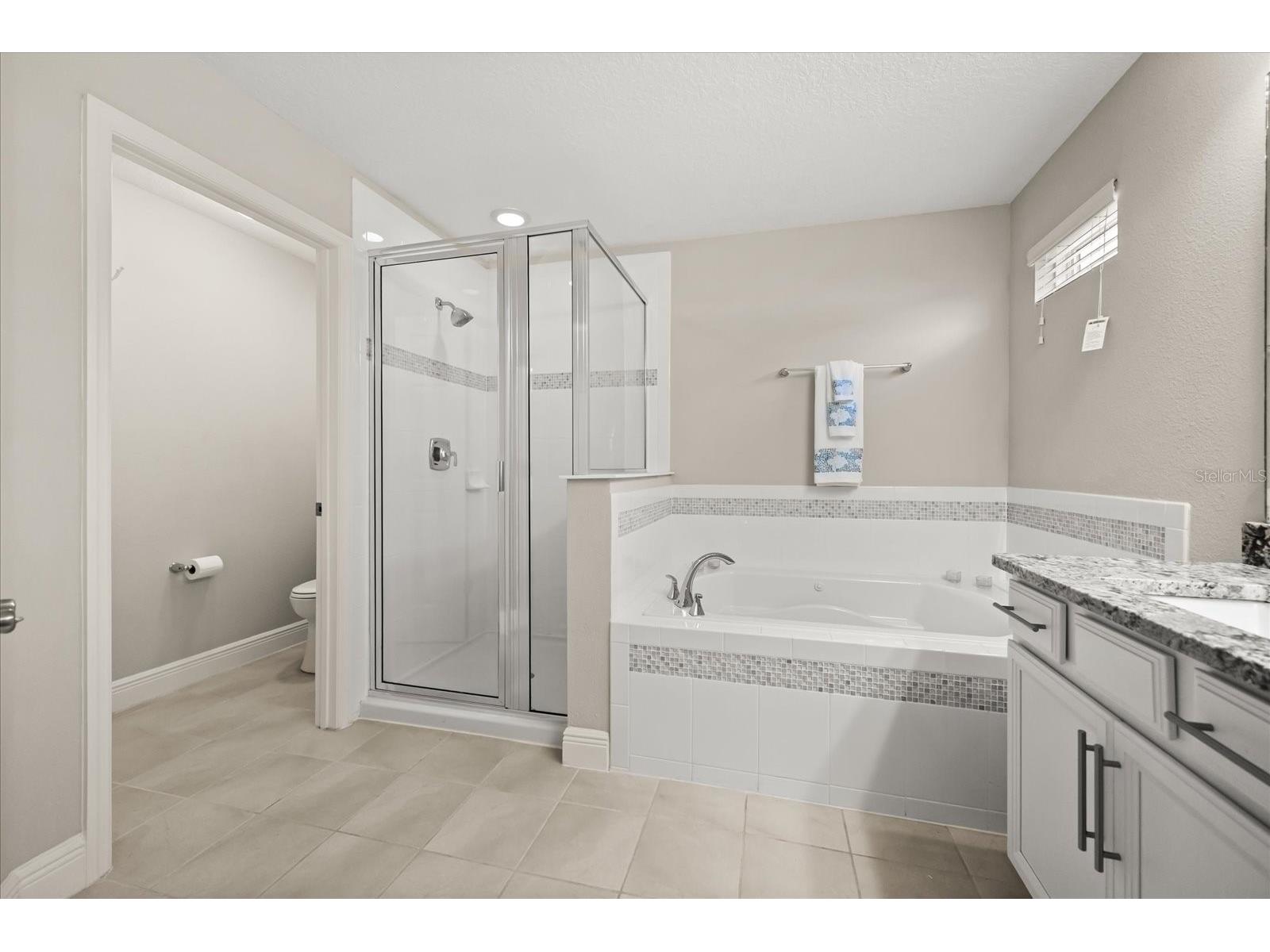 813 Marsh Reed Drive Winter Garden FL 34787 O6321149 image19