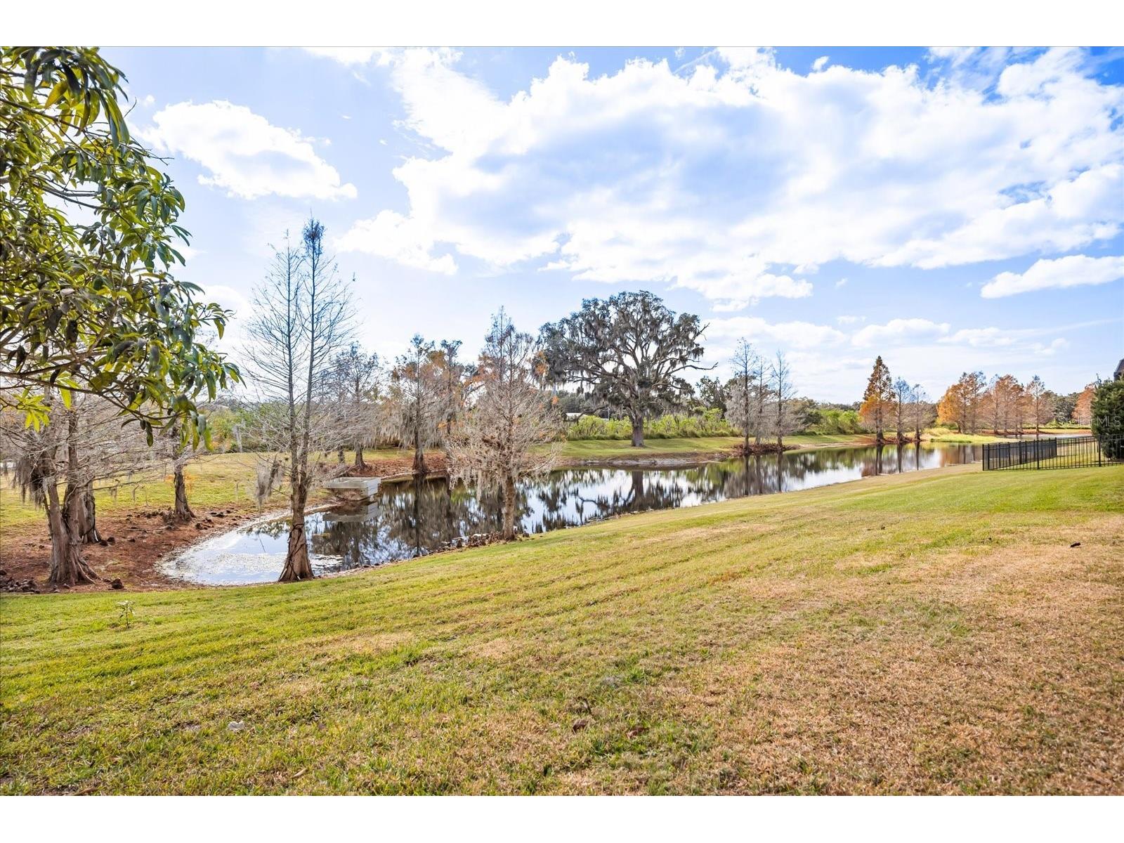 813 Marsh Reed Drive Winter Garden FL 34787 O6321149 image41