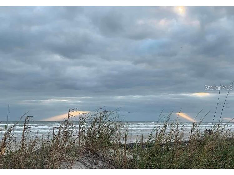 813 N Atlantic Avenue New Smyrna Beach FL 32169 - ATLANTIC OCEAN O6413582 image15