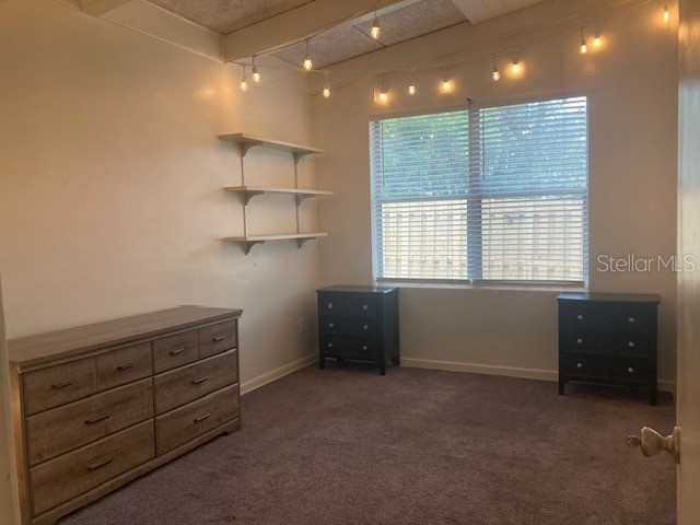 813 NW 22nd Street Gainesville FL 32603 TB8419512 image24