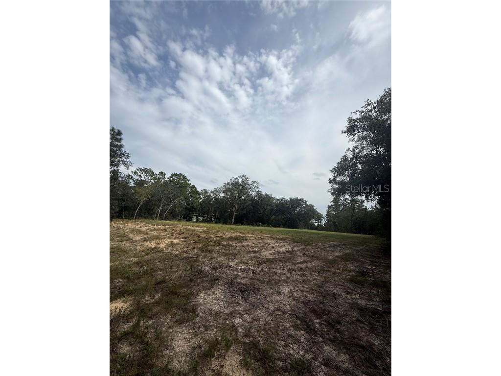 813 W Haguer Place Dunnellon FL 34434 O6345722 image1