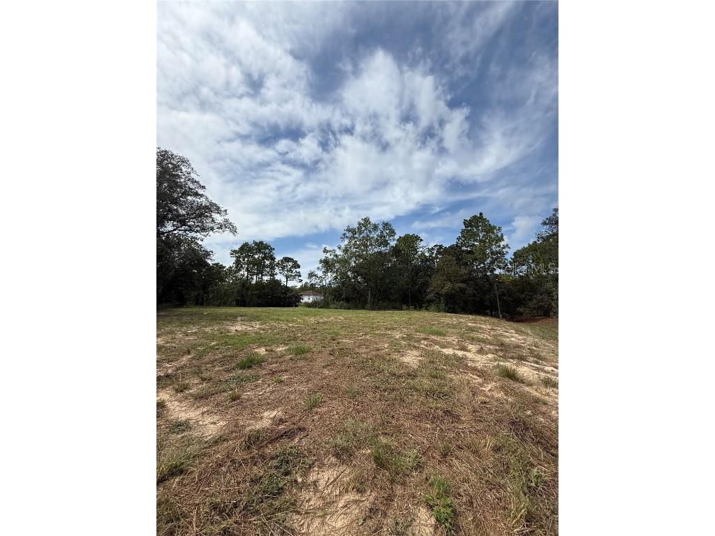 813 W Haguer Place Dunnellon FL 34434 O6345722 image2