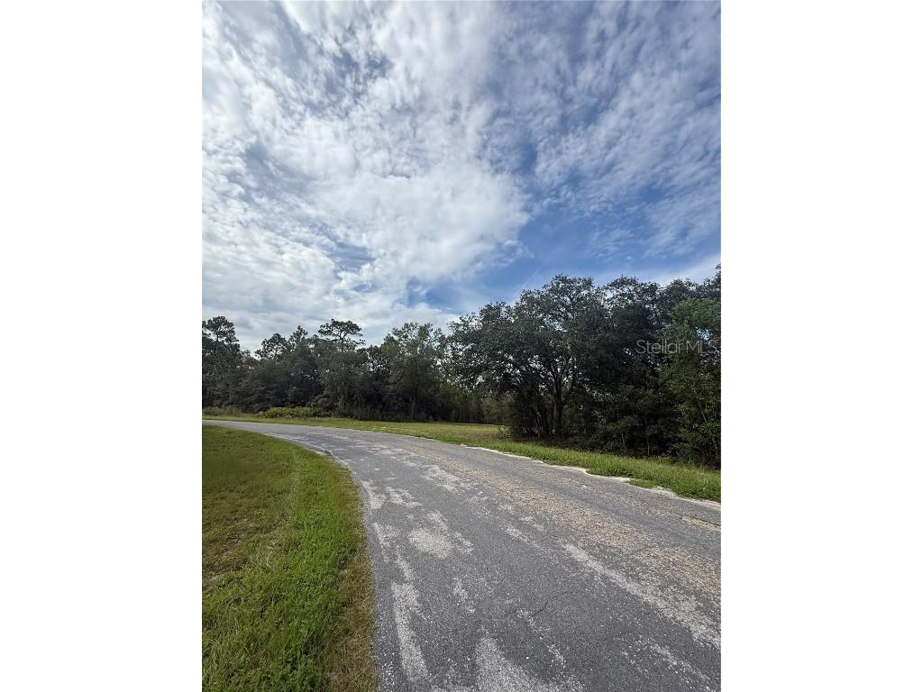 813 W Haguer Place Dunnellon FL 34434 O6345722 image3