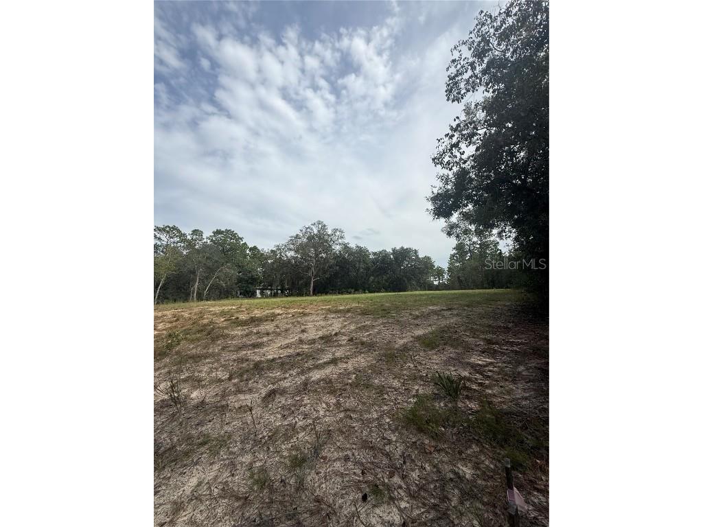 813 W Haguer Place Dunnellon FL 34434 O6345722 image4