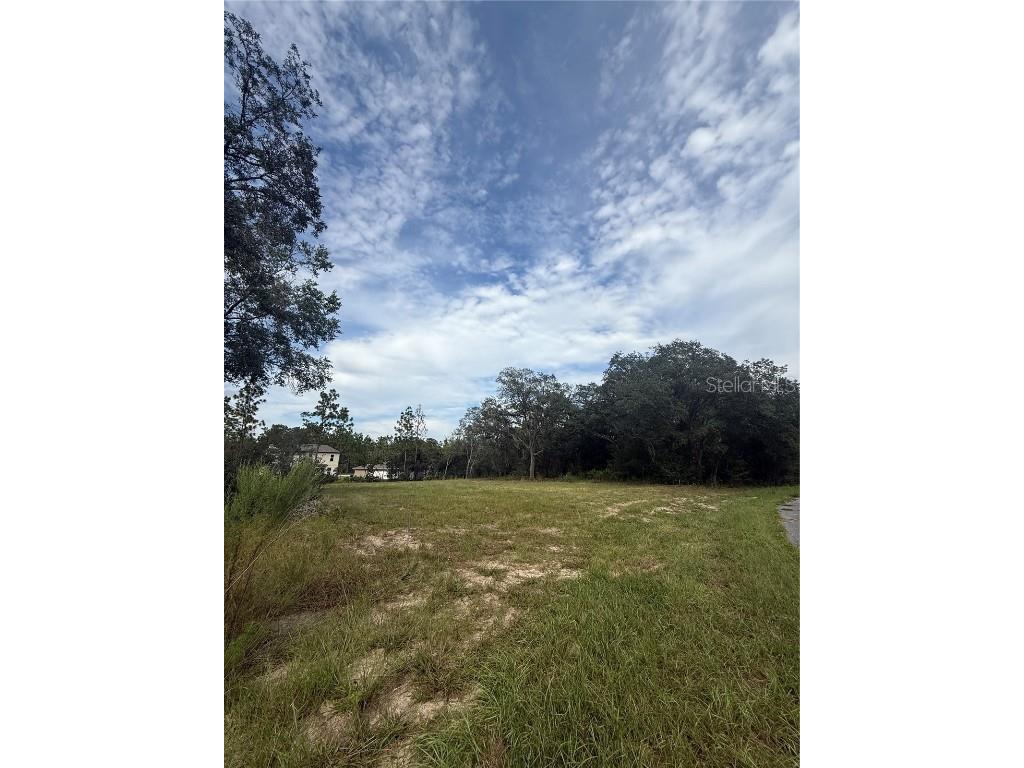 813 W Haguer Place Dunnellon FL 34434 O6345722 image5