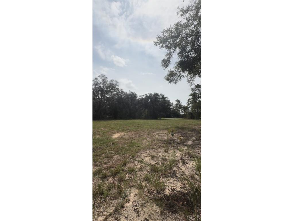 813 W Haguer Place Dunnellon FL 34434 O6345722 image6