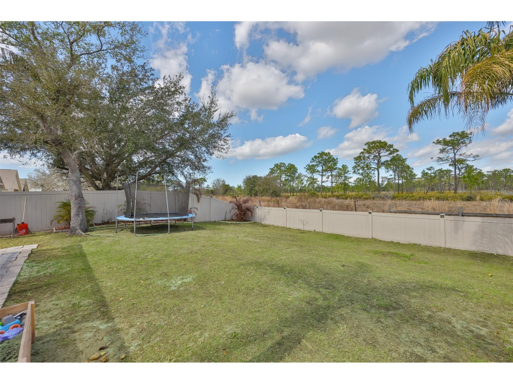 8130 Alamosa Wood Avenue Ruskin FL 33573 A4683366 image37
