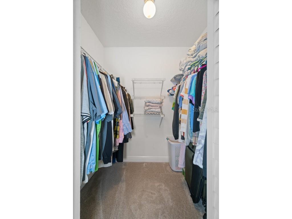 8130 Merrimac Drive Port Richey FL 34668 TB8443837 image26