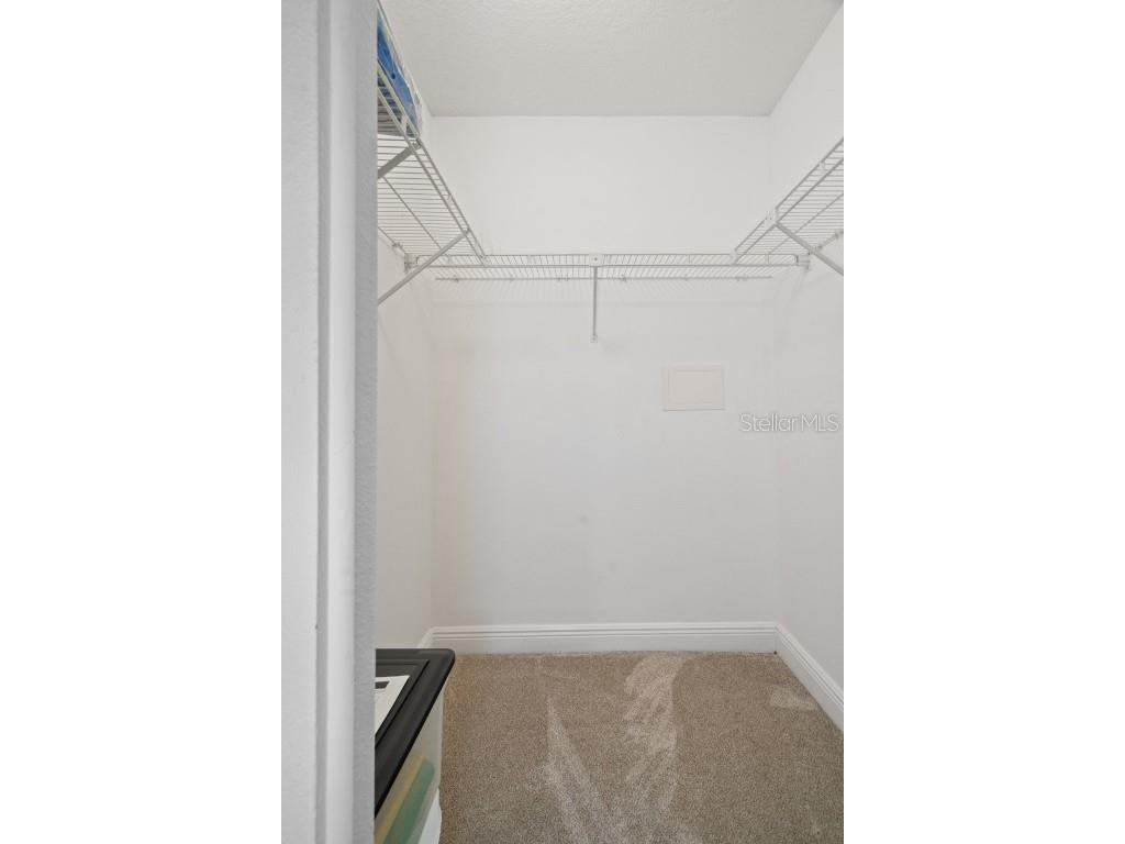 8130 Merrimac Drive Port Richey FL 34668 TB8443837 image31