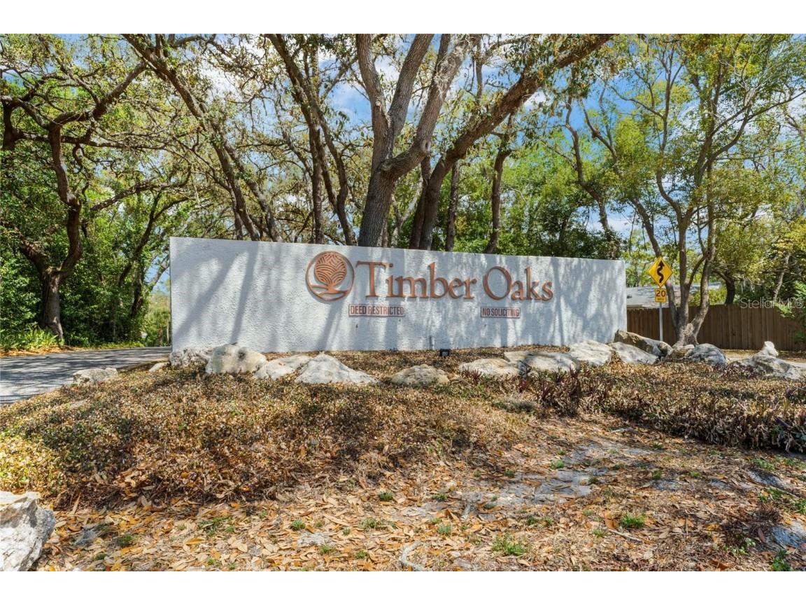 8130 Merrimac Drive Port Richey FL 34668 TB8443837 image49