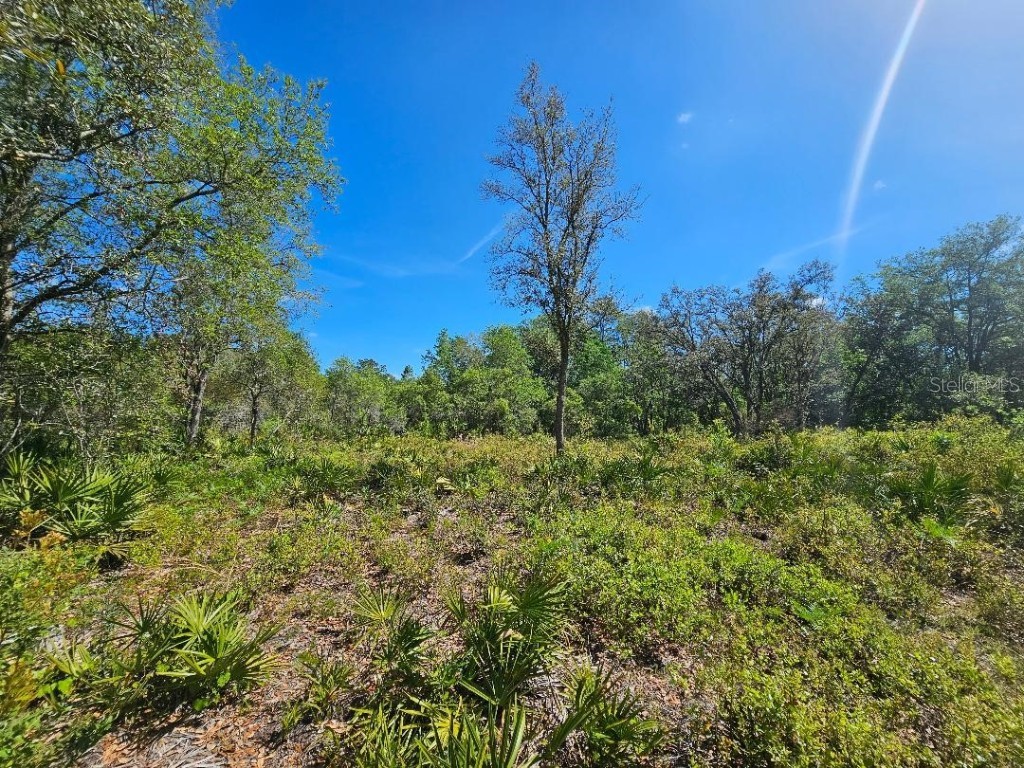 8130 Shellstream Drive Webster FL 33597 TB8371533 image1