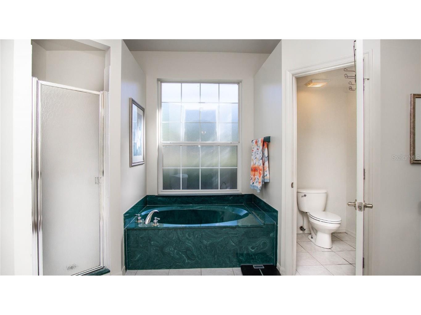 8130 SW 215th Terrace Dunnellon FL 34431 OM711999 image17