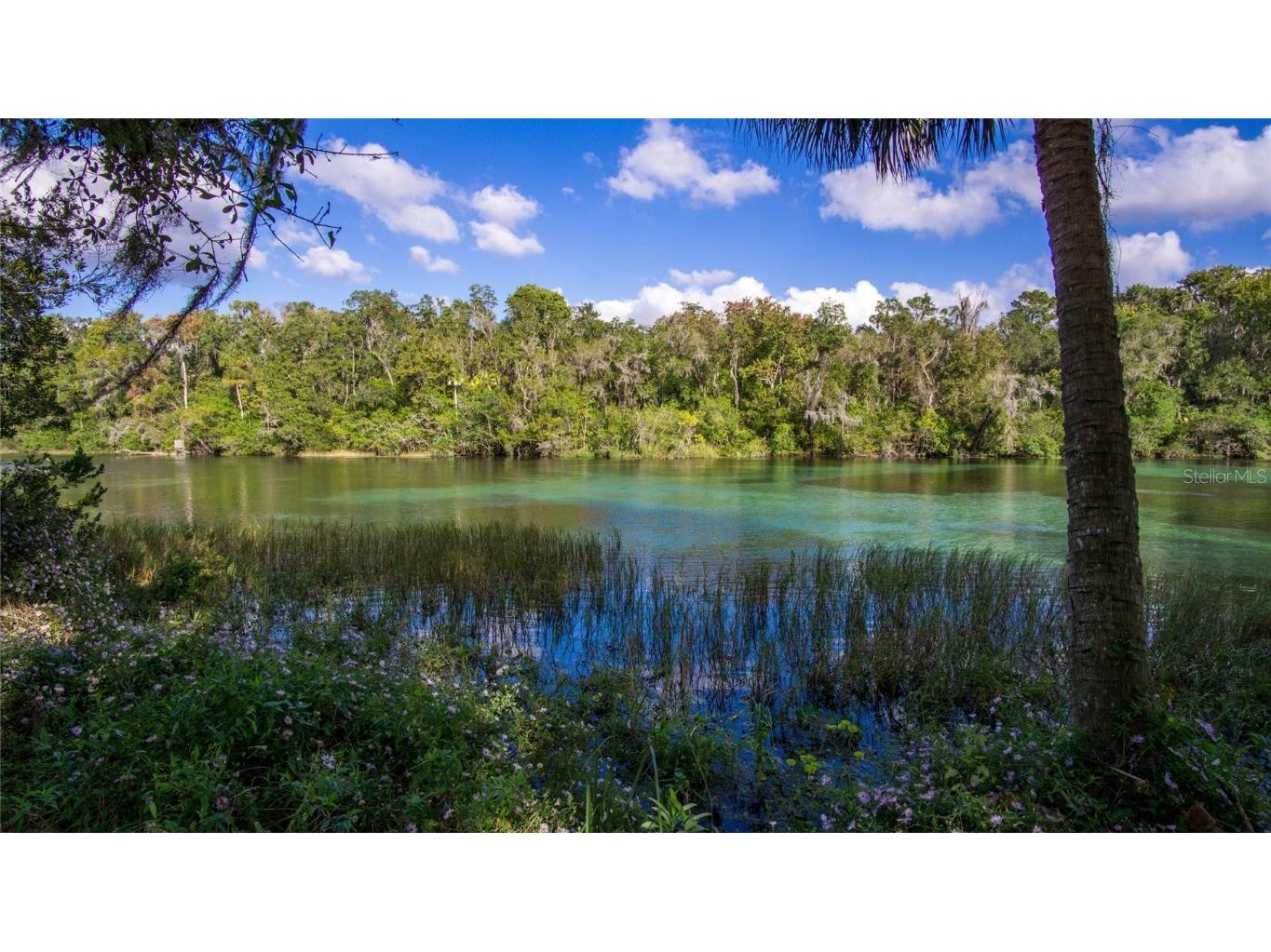 8130 SW 215th Terrace Dunnellon FL 34431 OM711999 image57