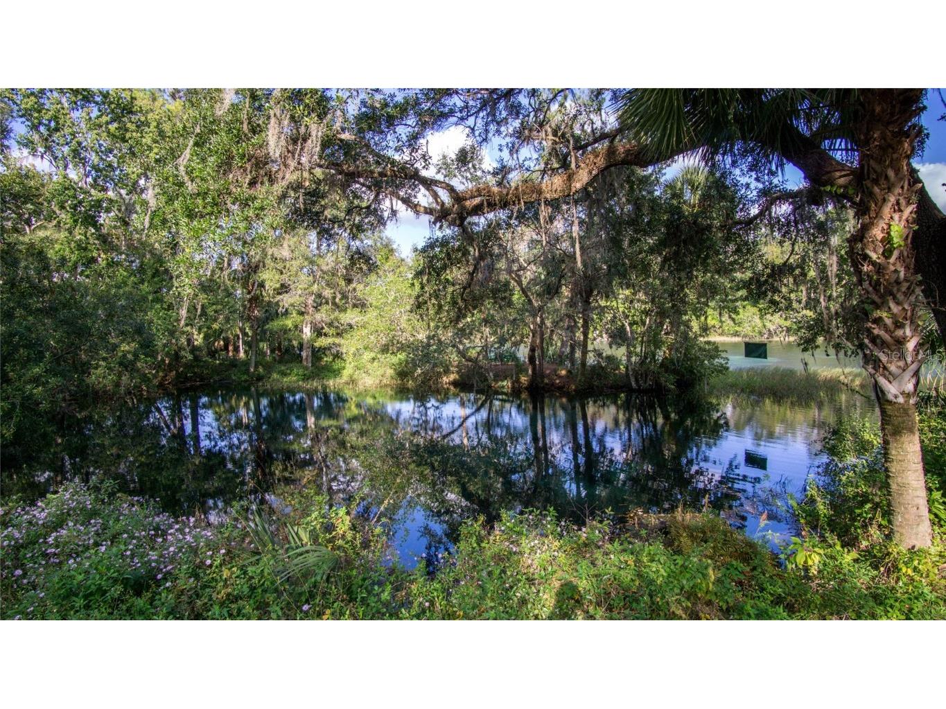 8130 SW 215th Terrace Dunnellon FL 34431 OM711999 image59