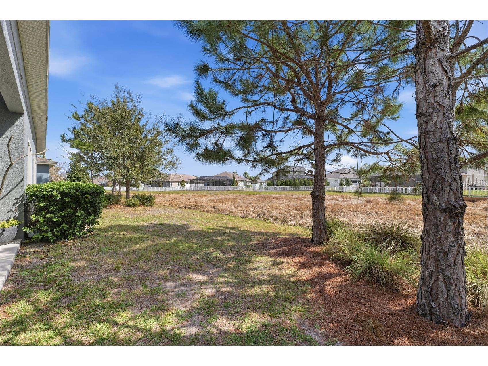 8130 Water Color Drive Land O Lakes FL 34638 TB8481474 image39