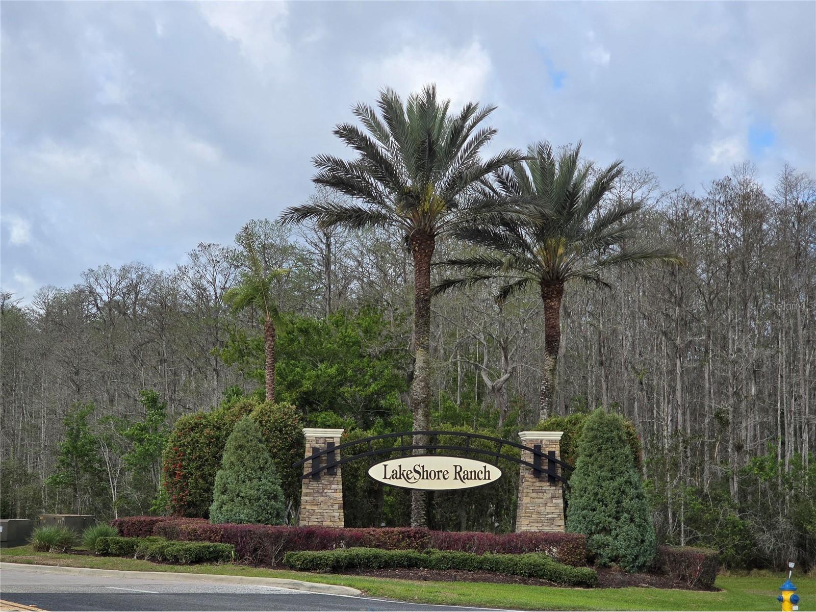 8130 Water Color Drive Land O Lakes FL 34638 TB8481474 image42