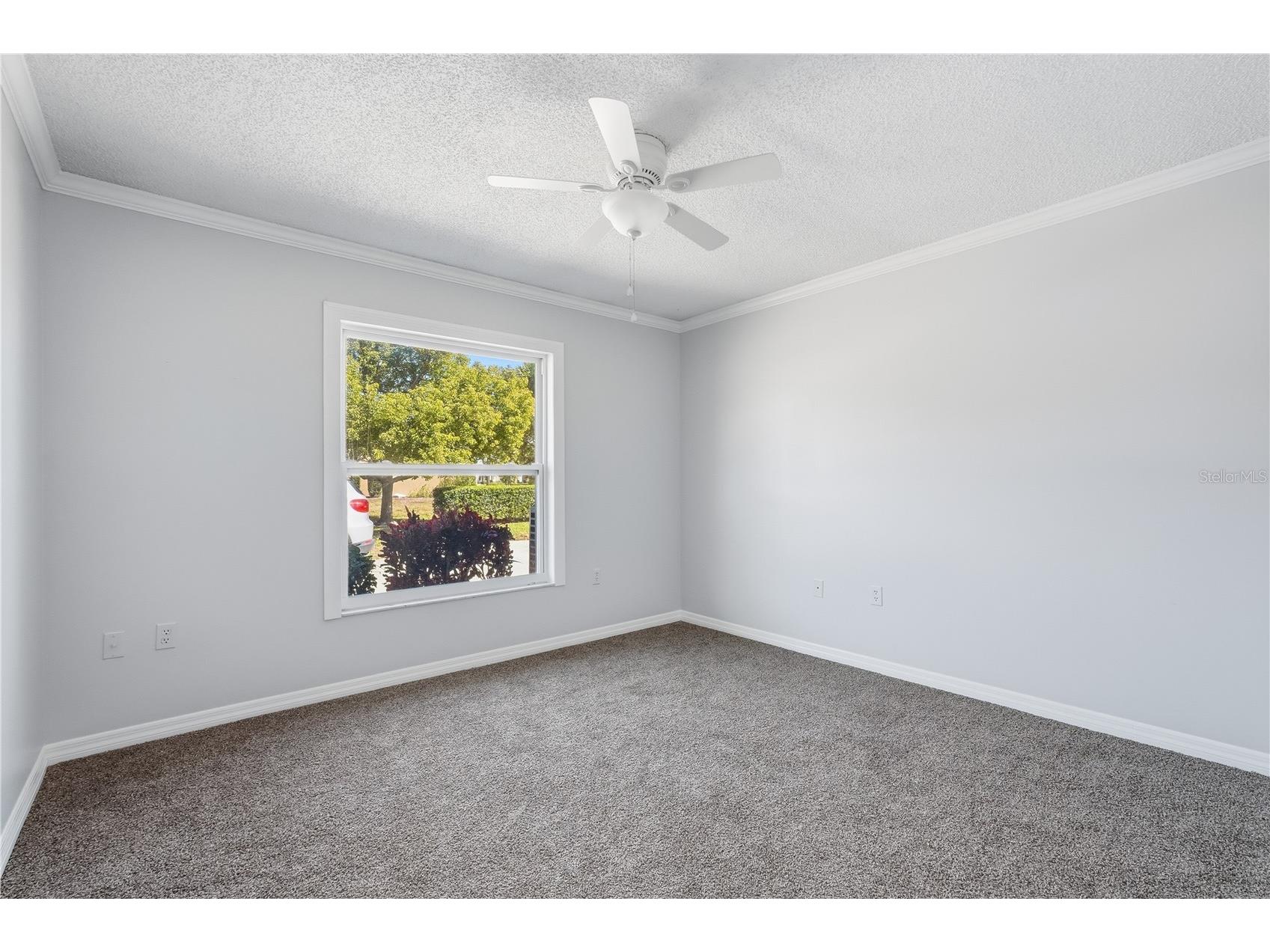8131 Braddock Circle #1 Port Richey FL 34668 TB8477289 image14