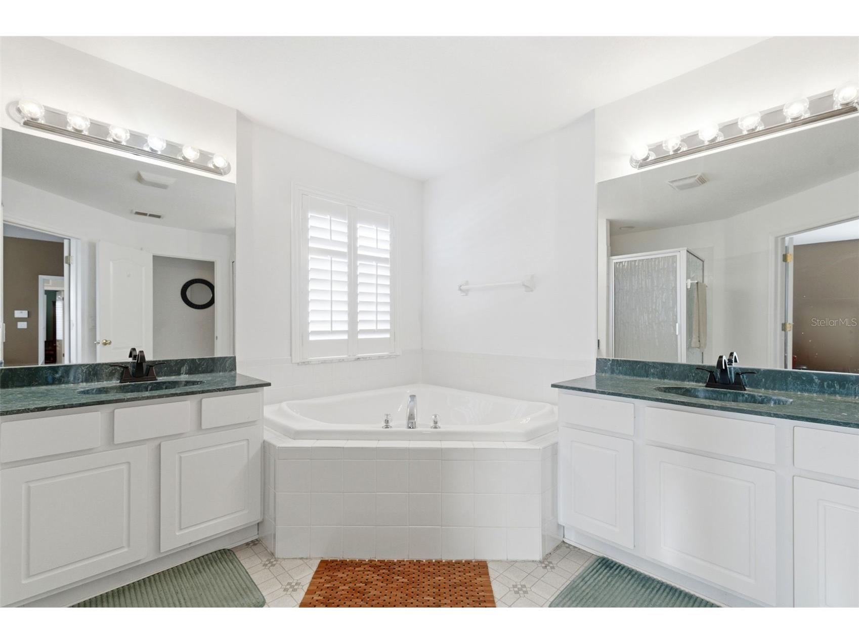 8131 Lucidul Court Trinity FL 34655 TB8483471 image46