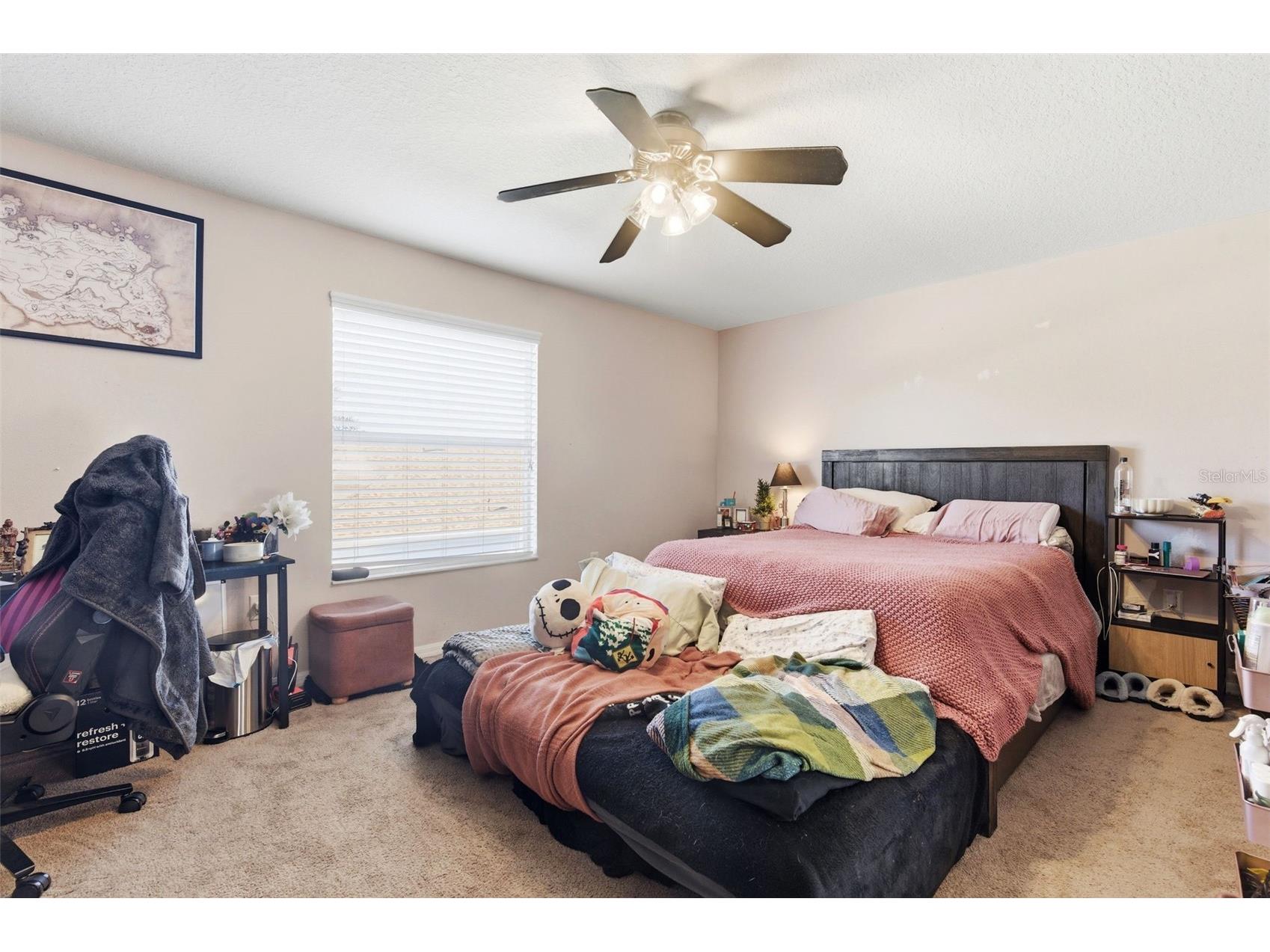 8131 Lucidul Court Trinity FL 34655 TB8483471 image48