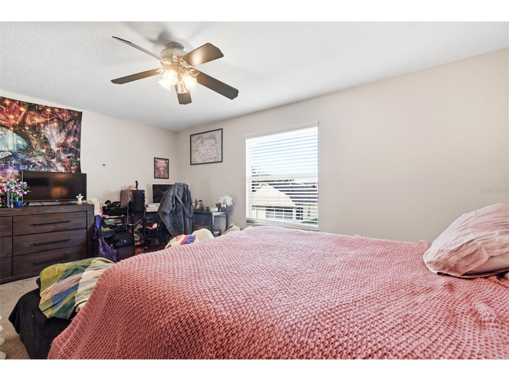 8131 Lucidul Court Trinity FL 34655 TB8483471 image49