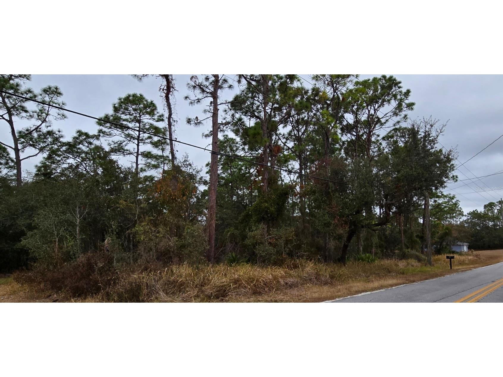 8131 Nightingale Road Weeki Wachee FL 34613 W7870681 image1