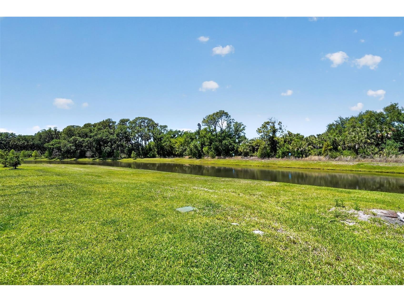 8131 Tea Olive Terrace Palmetto FL 34221 O6397593 image25