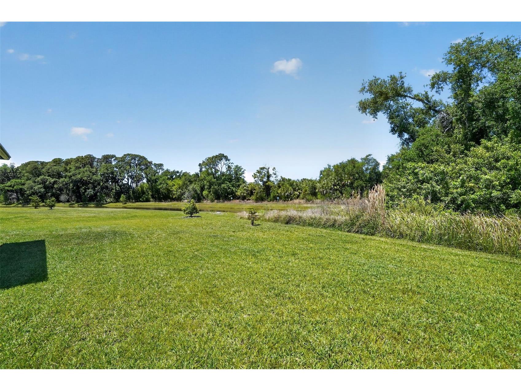 8131 Tea Olive Terrace Palmetto FL 34221 O6397593 image26