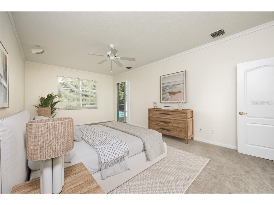 8132 Brinegar Circle Tampa FL 33647 TB8434481 image14