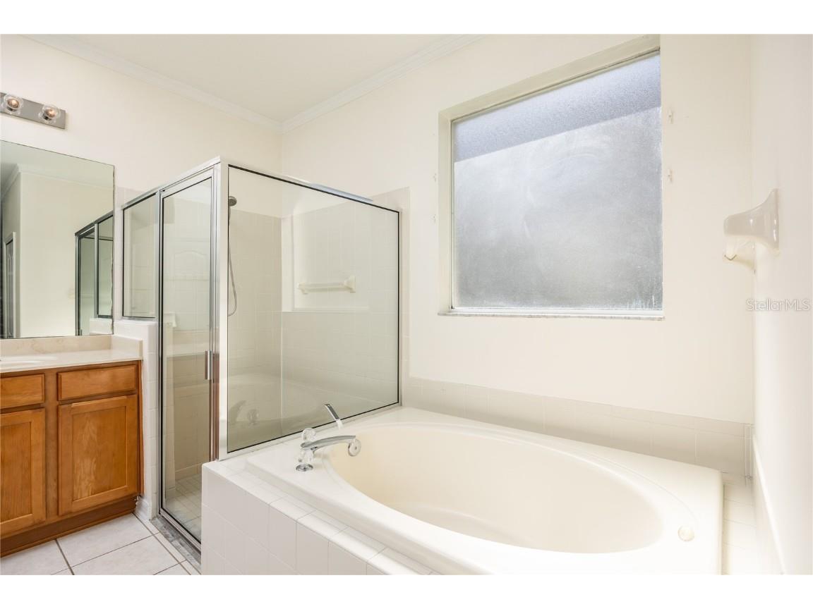 8132 Brinegar Circle Tampa FL 33647 TB8434481 image17