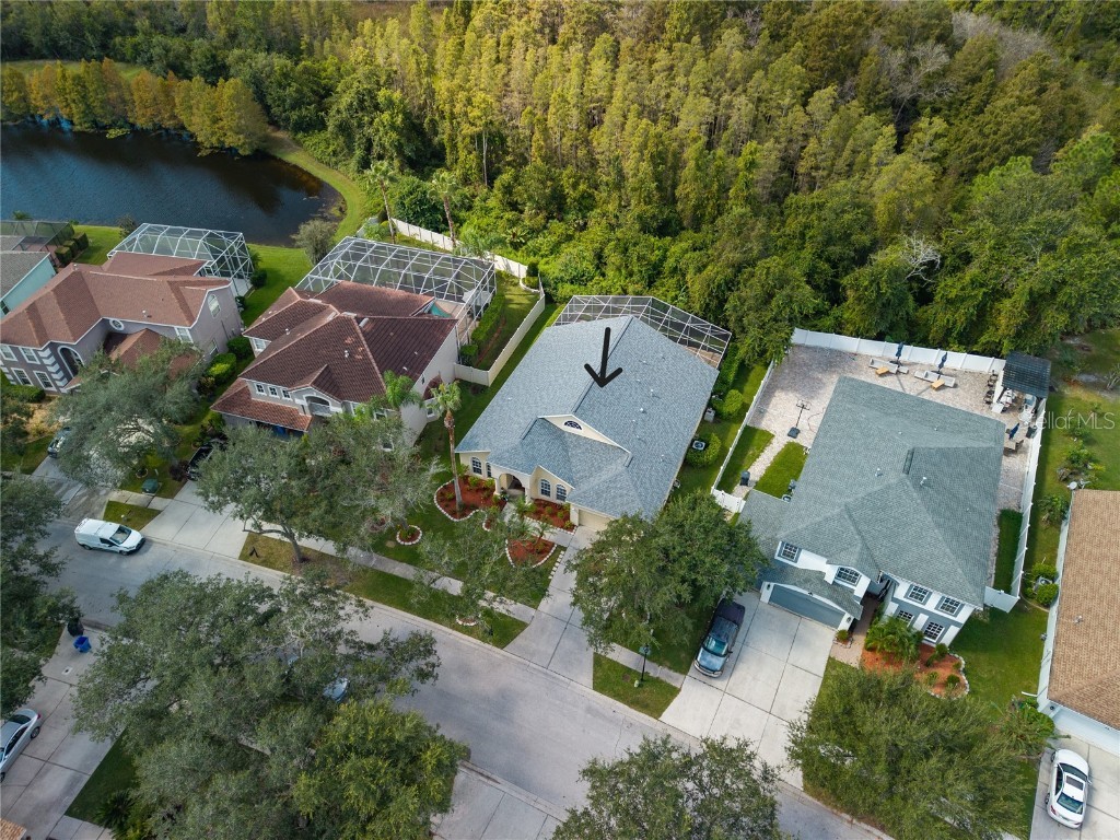 8132 Brinegar Circle Tampa FL 33647 TB8434481 image2