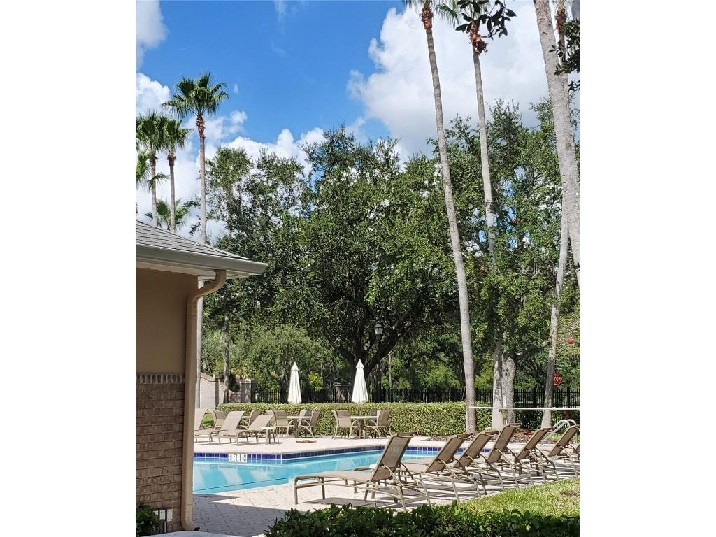 8132 Brinegar Circle Tampa FL 33647 TB8434481 image27