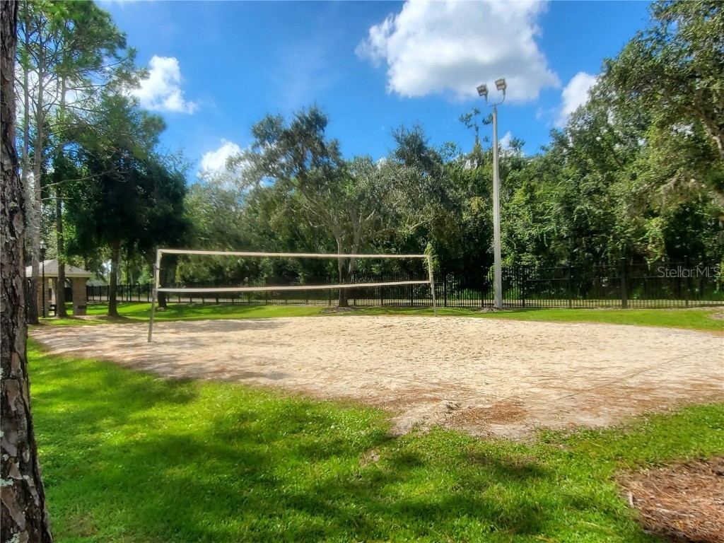 8132 Brinegar Circle Tampa FL 33647 TB8434481 image29