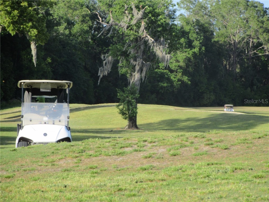 8132 Fairways Circle #R103 Ocala FL 34472 OM699048 image51