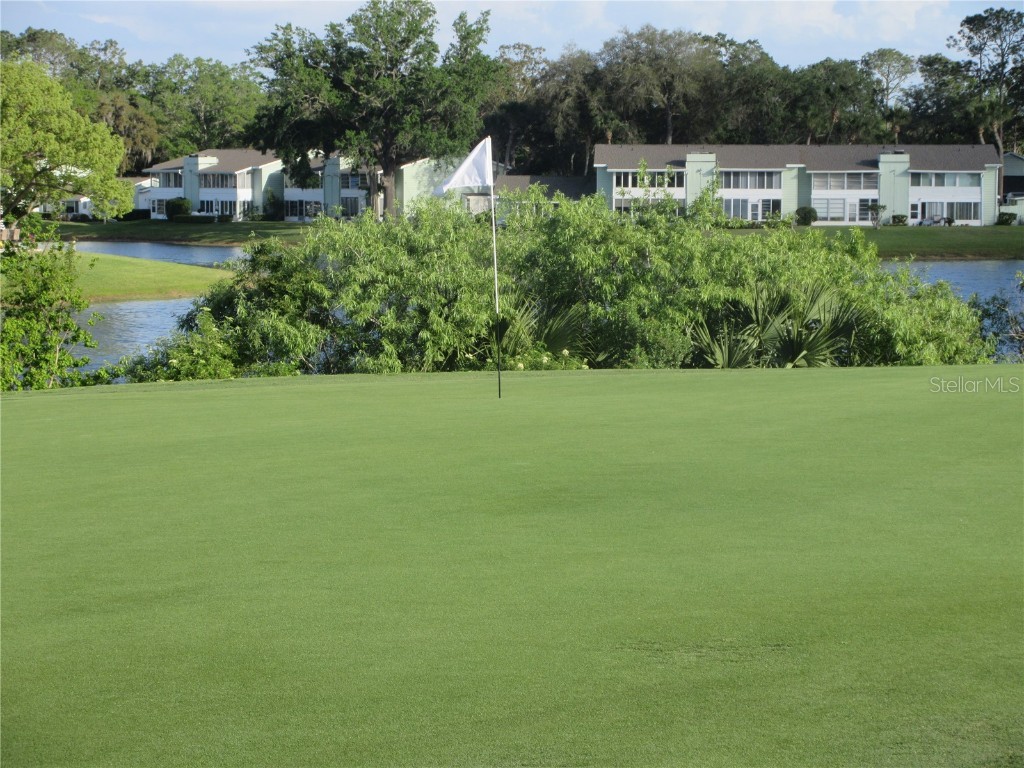 8132 Fairways Circle #R103 Ocala FL 34472 OM699048 image54