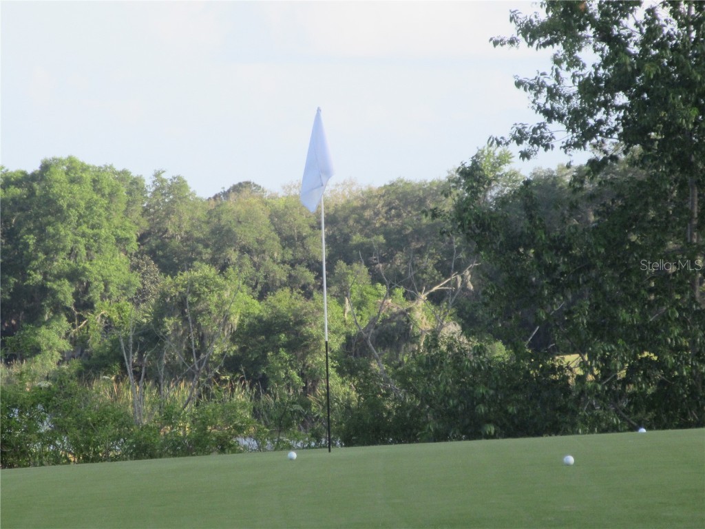 8132 Fairways Circle #R103 Ocala FL 34472 OM699048 image57