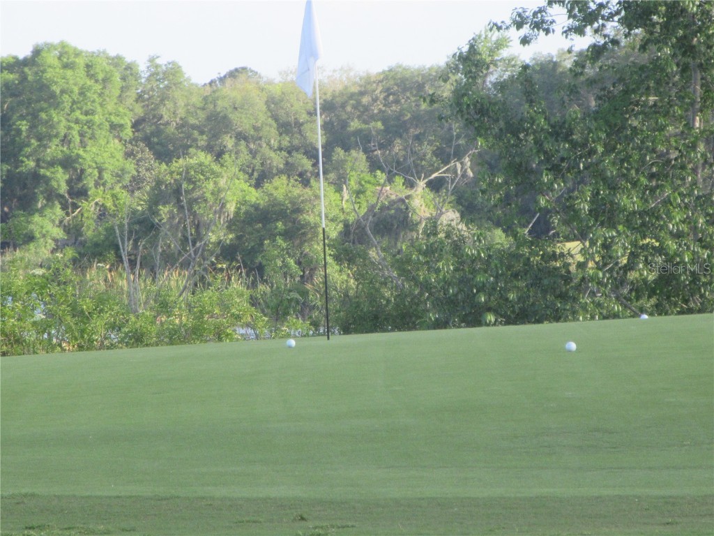 8132 Fairways Circle #R103 Ocala FL 34472 OM699048 image58