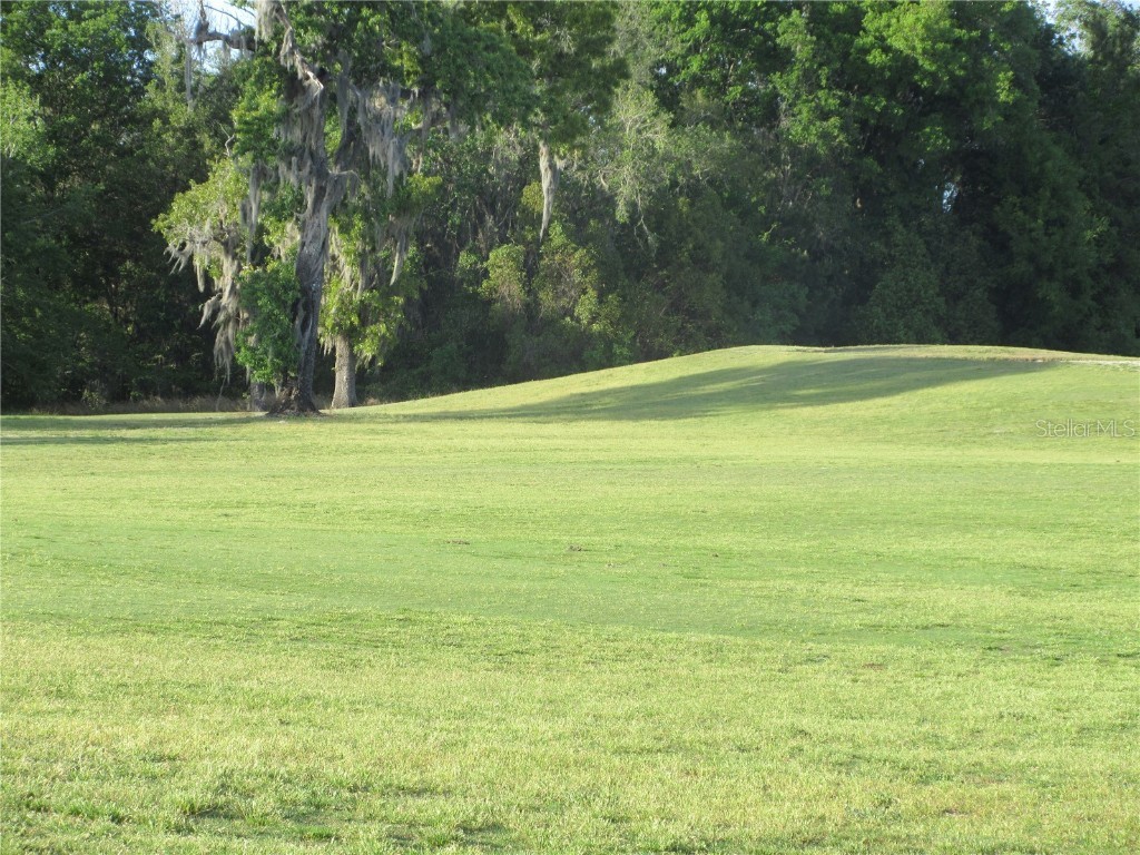 8132 Fairways Circle #R103 Ocala FL 34472 OM699048 image62