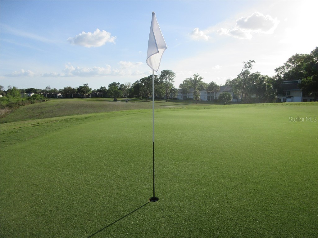 8132 Fairways Circle #R103 Ocala FL 34472 OM699048 image65